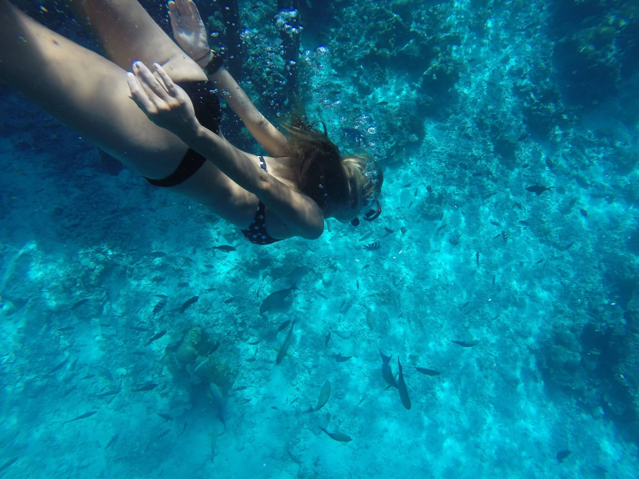 Raja Ampat dưới nước